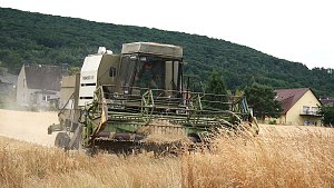 Bei der Ernte