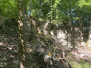 Alte Burg