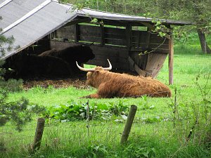 Dritte Station: Bad Brambach