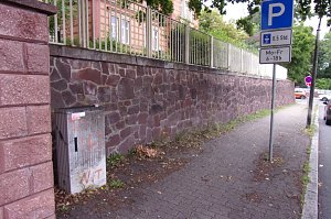 Nicht das Gr&uuml;n das man sich w&uuml;nscht, meint Anton Adlerauge