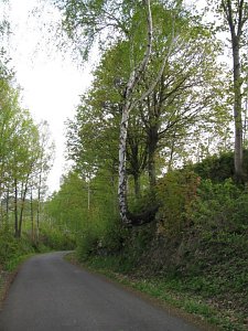 Dritte Station: Bad Brambach