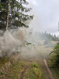 Waldbrand&uuml;bung der Feuerwehren 