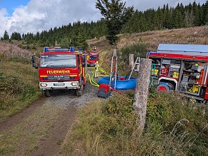 Waldbrand&uuml;bung der Feuerwehren 