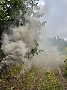Waldbrand&uuml;bung der Feuerwehren 