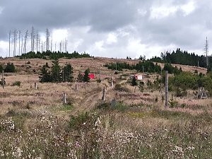 Waldbrand&uuml;bung der Feuerwehren 