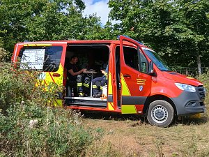Waldbrand&uuml;bung der Feuerwehren 