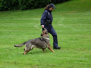 Tag der offenen T&uuml;r Polizei