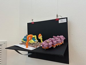 Bilderausstellung zum 125. Stra&szlig;enbahn-Jubil&auml;um in der Kreissparkasse Nordhausen 