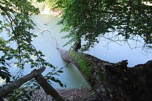 Peter Blei unterwegs am Wiesenteich