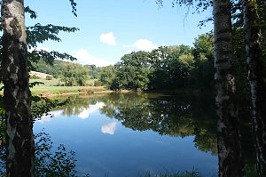 Peter Blei unterwegs am Wiesenteich