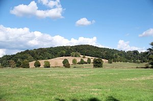 Peter Blei unterwegs am Wiesenteich