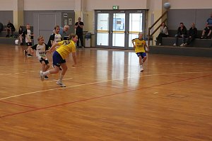 Handballnachwuchs holte Punkte