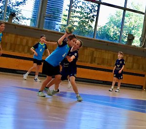 Handballnachwuchs holte Punkte