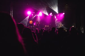 Ein Fest f&uuml;r Metal Fans - Impressionen vom Bookwood 2025
