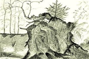 Baumminiaturen 