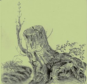 Baumminiaturen 