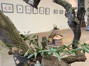 Baumminiaturen 