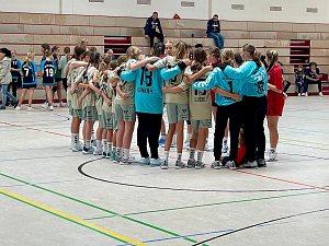 NSV-Handball am Wochenende