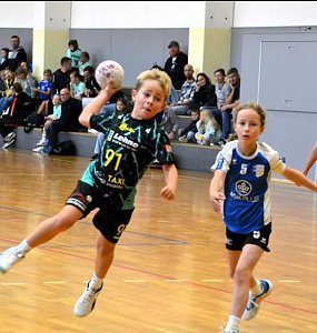 NSV-Handball am Wochenende