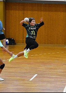 NSV-Handball am Wochenende