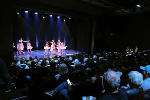 Peter Blei unterwegs beim Theaterfest