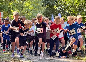 Kreis-Crosslauf auf dem J&uuml;denh&uuml;gel