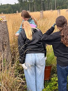 Mit dem Spaten f&uuml;r den Wald - die beiden neunten Klassen der Regelschule Niedersachswerfen halfen bei der Wiederaufforstung im Harz