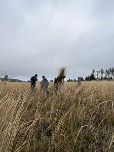 Mit dem Spaten f&uuml;r den Wald - die beiden neunten Klassen der Regelschule Niedersachswerfen halfen bei der Wiederaufforstung im Harz