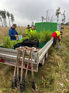 Mit dem Spaten f&uuml;r den Wald - die beiden neunten Klassen der Regelschule Niedersachswerfen halfen bei der Wiederaufforstung im Harz