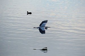 Peter Blei unterwegs am Stausee Kelbra