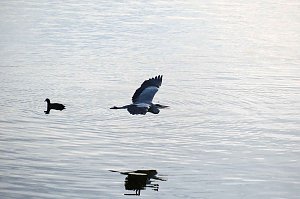 Peter Blei unterwegs am Stausee Kelbra