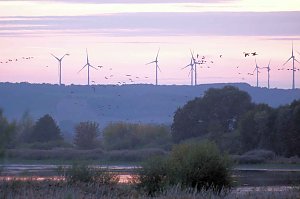 Peter Blei unterwegs am Stausee Kelbra
