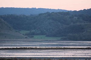 Peter Blei unterwegs am Stausee Kelbra