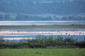 Peter Blei unterwegs am Stausee Kelbra