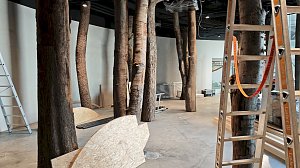 Besuch am Hexenbesen bei Rothes&uuml;tte am 8. September 2025