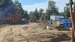 Besuch am Hexenbesen bei Rothes&uuml;tte am 8. September 2025
