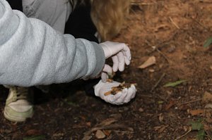 Zwei Klassen der Regelschule K&auml;the Kollwitz halfen beim aufr&auml;umen zum World Clean Up Day