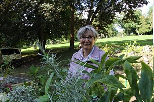 Geburtstagsfeier im Park Hohenrode