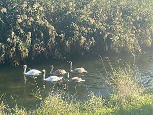Herbstwanderung mit Wolfgang Lehmann