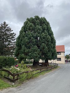 Herbstwanderung mit Wolfgang Lehmann