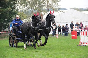 Die S&uuml;dharz-Rallye 2025