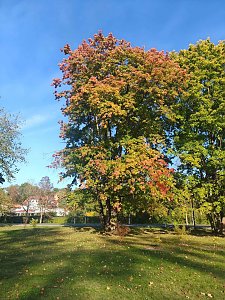 Herbststimmung in Nordhausen