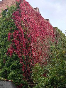Herbststimmung in Nordhausen