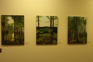 Neue Ausstellung in der Kreissparkasse