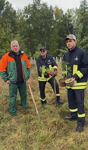 Baumpflanzungen im Stadtwald