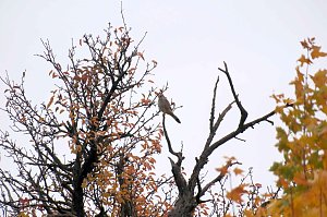 Peter Blei unterwegs in der Windlücke