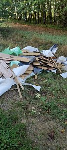 M&uuml;ll auf &ouml;ffentlichen Pl&auml;tzen in Bad Langensalza 