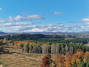 Herbstwanderung im S&uuml;dharz