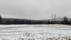 Erste Schneefall im Oberharz