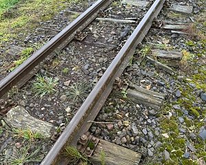 Bildergalerie der Grundhafte Instandsetzung Bahn&uuml;bergang am Gleisdreieck Siersleben